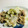 ｂｅｒｒｙ＋'s cooksnap of when they made たっぷりキャベツと豚の塩だれ炒め.