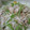 谷口子's cooksnap of when they made ささみと玉ねぎの和え物.