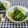 みかかめ's cooksnap of when they made 小松菜のわさびお浸し.