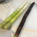 ainuinu's cooksnap of when they made 細竹の 下処理☆ 他調理レシピあり.