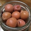 さっさママ's cooksnap of when they made カリコリっと♪カリカリ梅の小梅ちゃん.