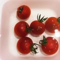 horseland's cooksnap of when they made コツ？ミニトマト50℃洗い.