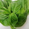 NEKOほっぺ's cooksnap of when they made 【プロの料理人の裏技】バジルの保存法.