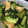 クック4VJOIY☆'s cooksnap of when they made 定番副菜☆小松菜と油揚げのお浸し.