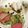 クックZ8J4H4☆'s cooksnap of when they made 長ネギとレタスの中華風炒め♪.
