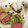 クックZ8J4H4☆'s cooksnap of when they made 長ネギとレタスの中華風炒め♪.