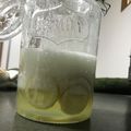 クックDQWQG1☆'s cooksnap of when they made 手作り酵素シロップde酵素ジュース.