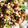 ruricom's cooksnap of when they made 納豆がごちそうに！簡単納豆小ねぎ炒め.