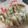 *neige*'s cooksnap of when they made アスパラとえびのふわふわ春巻き.