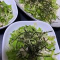 かわいい星優のママ's cooksnap of when they made レタスとささみのわさびポン酢サラダ.
