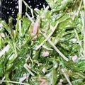にこまる's cooksnap of when they made シャキシャキ水菜とコーンのごまツナサラダ.