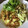 Yokchina's cooksnap of when they made 簡単オムレツ【ベトナム風卵焼き】ヌクナム.