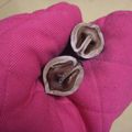 ほなみつ's cooksnap of when they made 硬～いクルミの割り方♪.