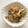 きらり流れ星's cooksnap of when they made ナスとエリンギのレンジで簡単胡麻和え.