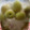 MYAR's cooksnap of when they made 梅を冷凍するから簡単☻手作り梅酒.