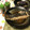 マールマル's cooksnap of when they made 本格的！ カレイ煮付け.
