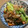 コウジパパ's cooksnap of when they made 豚肉とちんげん菜の炒め煮.