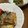 ☆ごはんできた☆'s cooksnap of when they made さばの竜田揚げ.