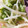 れみひめ's cooksnap of when they made 簡単★やみつき！水菜とジャガイモのナムル.