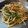 クックGSPP23☆'s cooksnap of when they made さば味噌煮缶とニラもやしのコチュマヨ炒め.