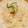 かよじー's cooksnap of when they made 簡単！梅としらすの炊き込みご飯！.