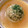 sakuya_14's cooksnap of when they made スープまで美味しい！丸ごと玉ねぎの肉詰め.