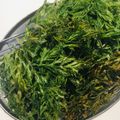 白飯大好き's cooksnap of when they made 人参の葉っぱのかき揚げ.