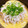 たかともしゃん's cooksnap of when they made しらすかけ丼●たまご＆とろろごはんの上に.