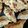 runananana's cooksnap of when they made 手作りモチモチ餃子の皮.