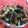 ☆☆あっきん☆☆'s cooksnap of when they made ご飯が進む!!舞茸と椎茸と海苔の佃煮.