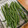 ほーりー528's cooksnap of when they made いんげんの素揚げ\ ♪♪ /.