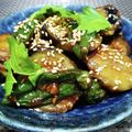 ひっこ's cooksnap of when they made ナスとしし唐の味噌炒め.