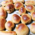 yogalike's cooksnap of when they made ふすまパン よもぎ 発酵あんこ入り.