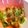 ★Ayan0311★'s cooksnap of when they made カンタンもう1品！小松菜入りなめこおろし.