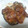 クックプ～'s cooksnap of when they made ナスとエリンギのチーズ焼き.