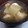 sphan's cooksnap of when they made ☺とっても簡単♪冬瓜（夕顔）のお吸い物☺.