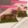 クックB6PS1H☆'s cooksnap of when they made 簡単 万能 青じそジェノベーゼソース.