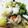クック5FQV1U☆'s cooksnap of when they made 簡単美味しい八宝菜.