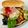Lake☆Erie's cooksnap of when they made 本場「アメリカン★☆バーガー」我が家流.