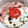 はっぴぃきっちん's cooksnap of when they made 目玉焼き丼.