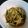 クックGGLXTL☆'s cooksnap of when they made ごまたっぷり＊もやしときゅうりのサラダ.