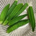yankumi3's cooksnap of when they made オクラ 美味しい茹で方.