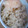 おさるの親子's cooksnap of when they made しょうがご飯.