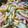 ゆうこりん2児のママ's cooksnap of when they made うちの定番！ﾏｶﾛﾆｻﾗﾀﾞ♪.