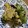 せなちょこ's cooksnap of when they made ナスとピーマンの味噌炒め☾.