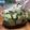 クックT0MN2R☆'s cooksnap of when they made 青瓜の浅漬け.