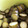 クックNXNTUG☆'s cooksnap of when they made 本格☆きゅうりのキューちゃん漬け☆.