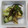 クックQ3ZG46☆'s cooksnap of when they made きゅうりの漬物.