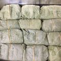 珍獣使い's cooksnap of when they made 柿の葉の塩漬け（柿の葉すしの準備）.