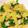 クックSV4QXZ☆'s cooksnap of when they made じゃがいもとピーマンの塩豚炒め.